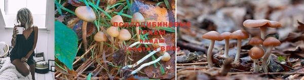 альфа пвп VHQ Каменногорск